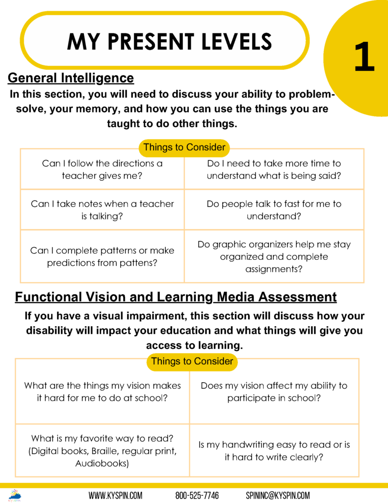 Present Levels Infographic & Worksheet  page 4
